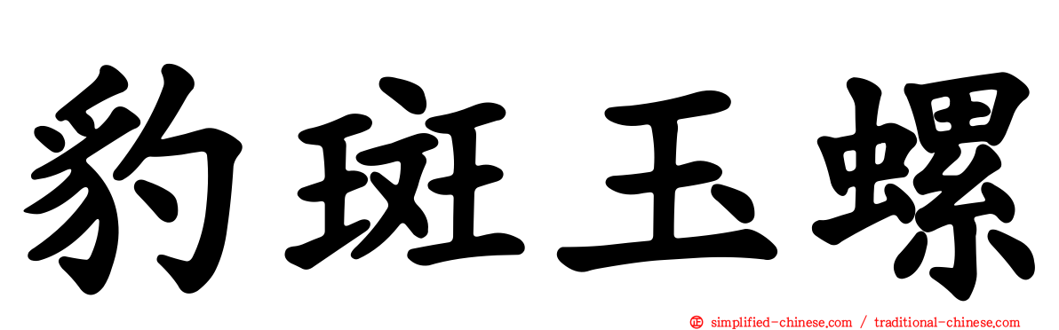 豹斑玉螺