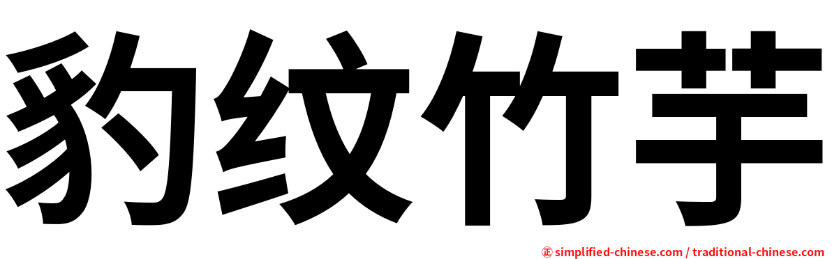 豹纹竹芋