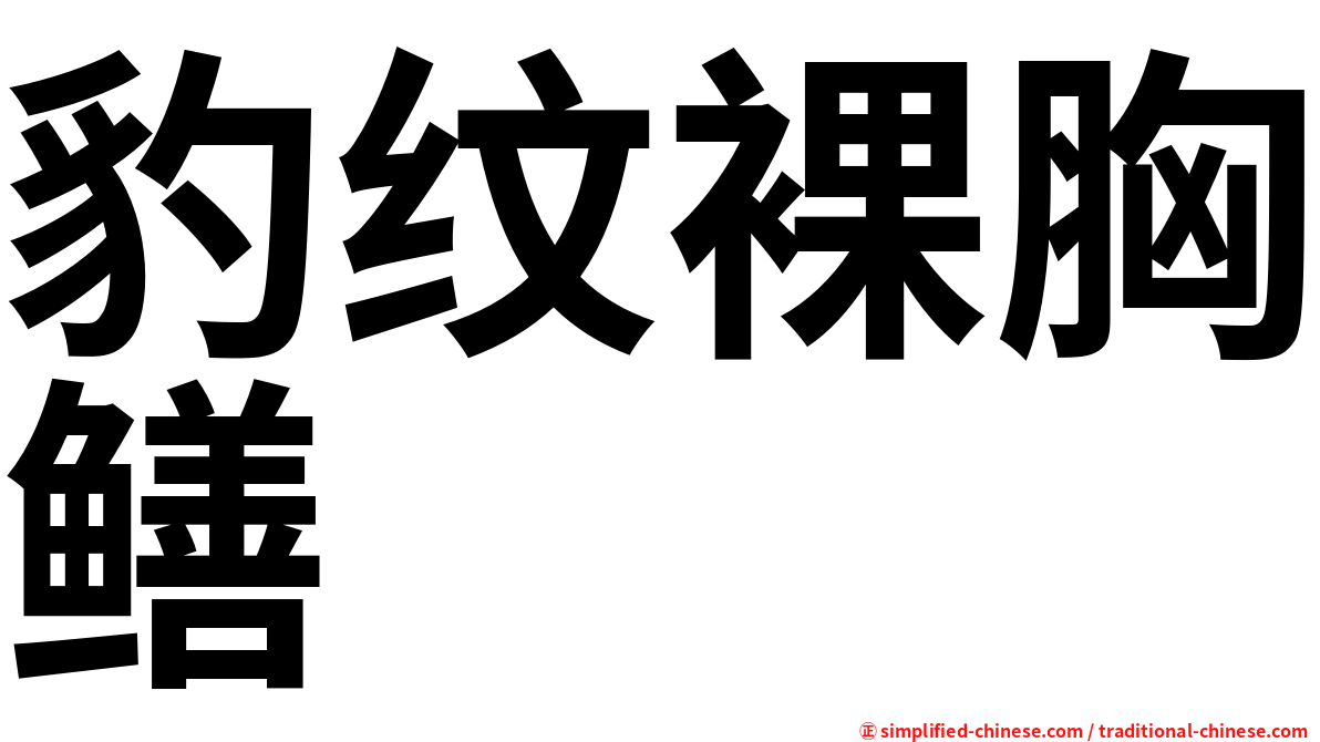 豹纹裸胸鳝