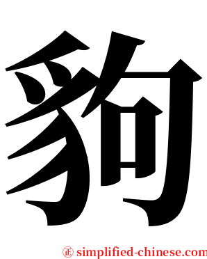 豿 serif font