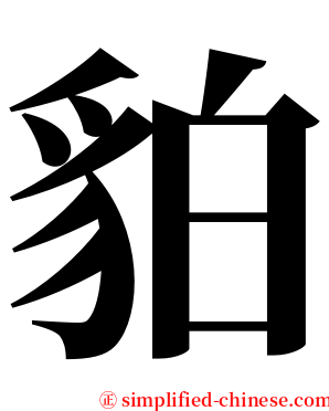 貃 serif font