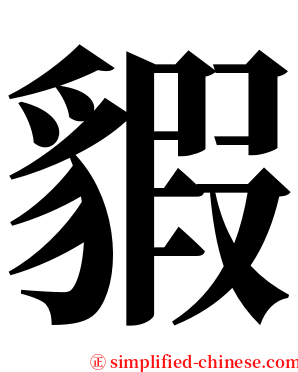 貑 serif font