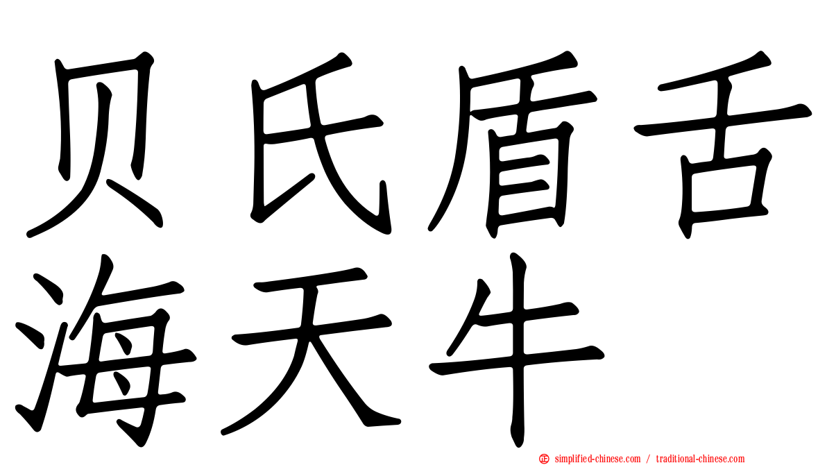 贝氏盾舌海天牛