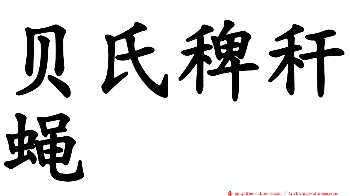 贝氏稗秆蝇