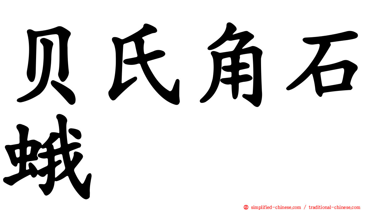 贝氏角石蛾