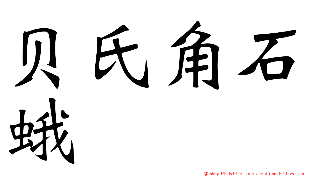 贝氏角石蛾