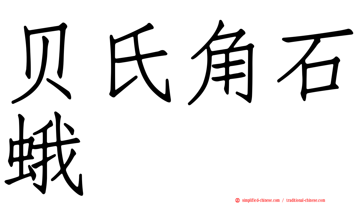 贝氏角石蛾