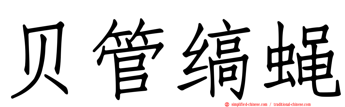 贝管缟蝇