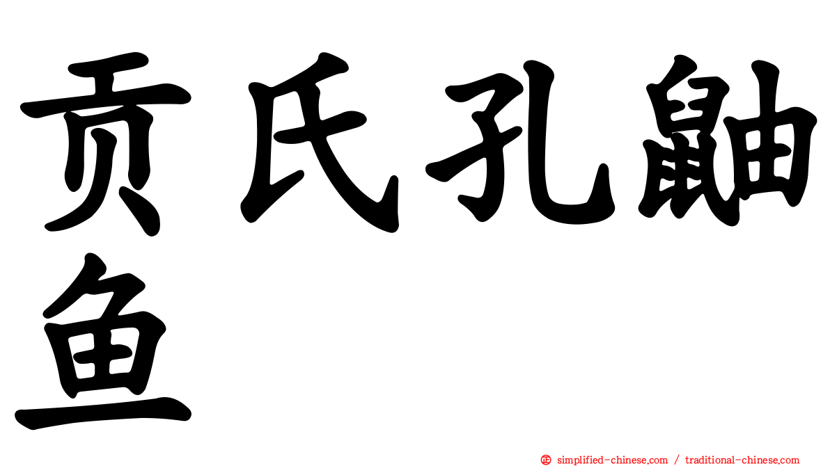 贡氏孔鼬鱼