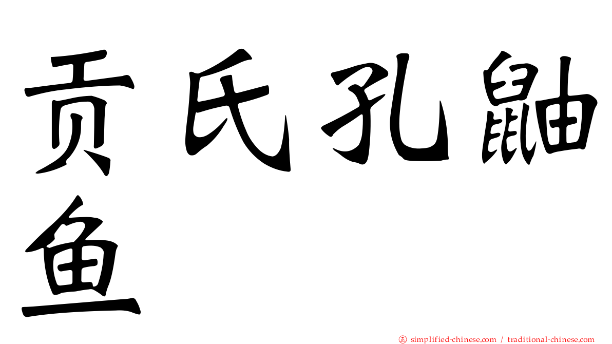 贡氏孔鼬鱼