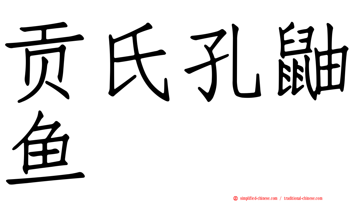 贡氏孔鼬鱼