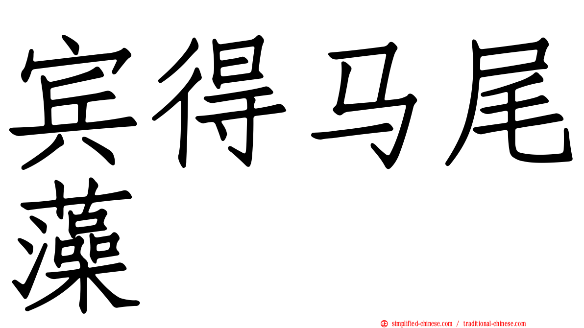 宾得马尾藻