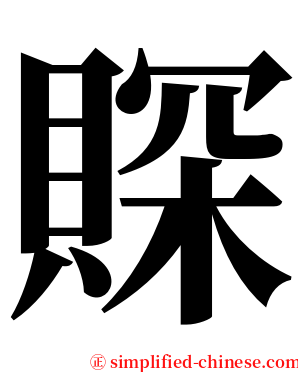 賝 serif font