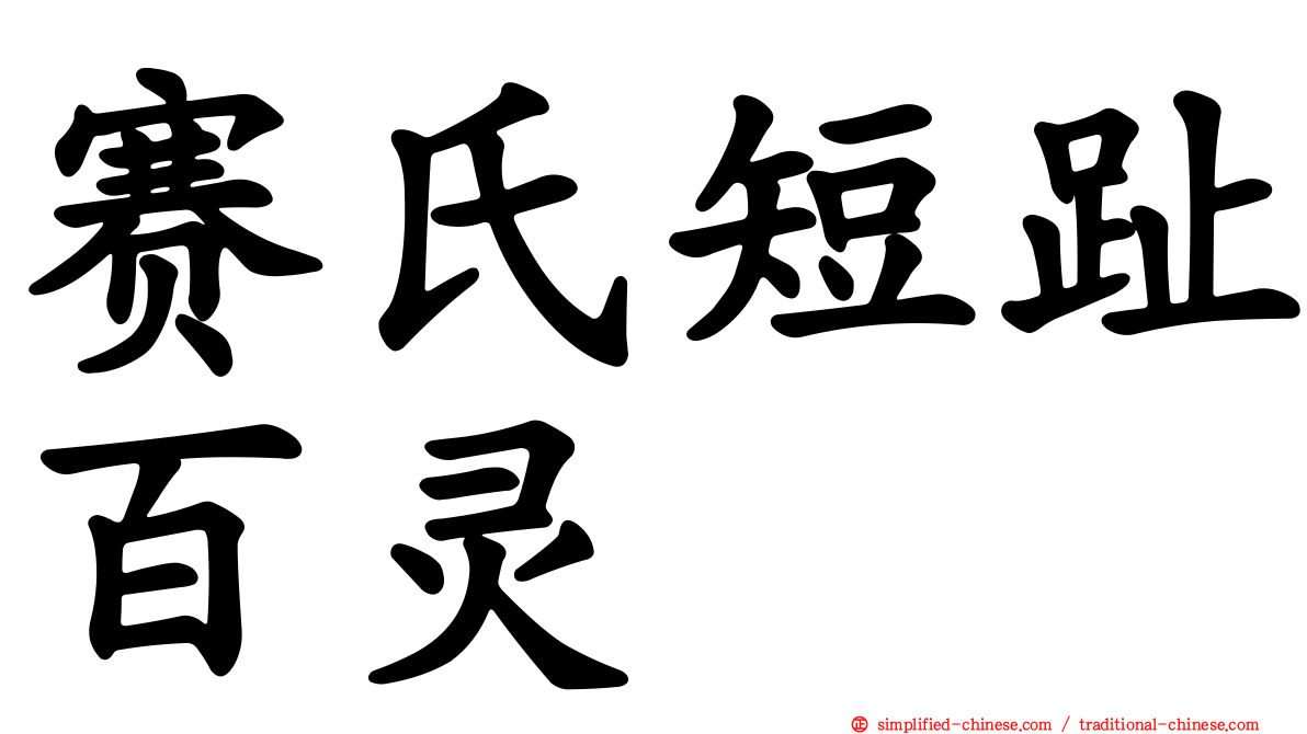 赛氏短趾百灵
