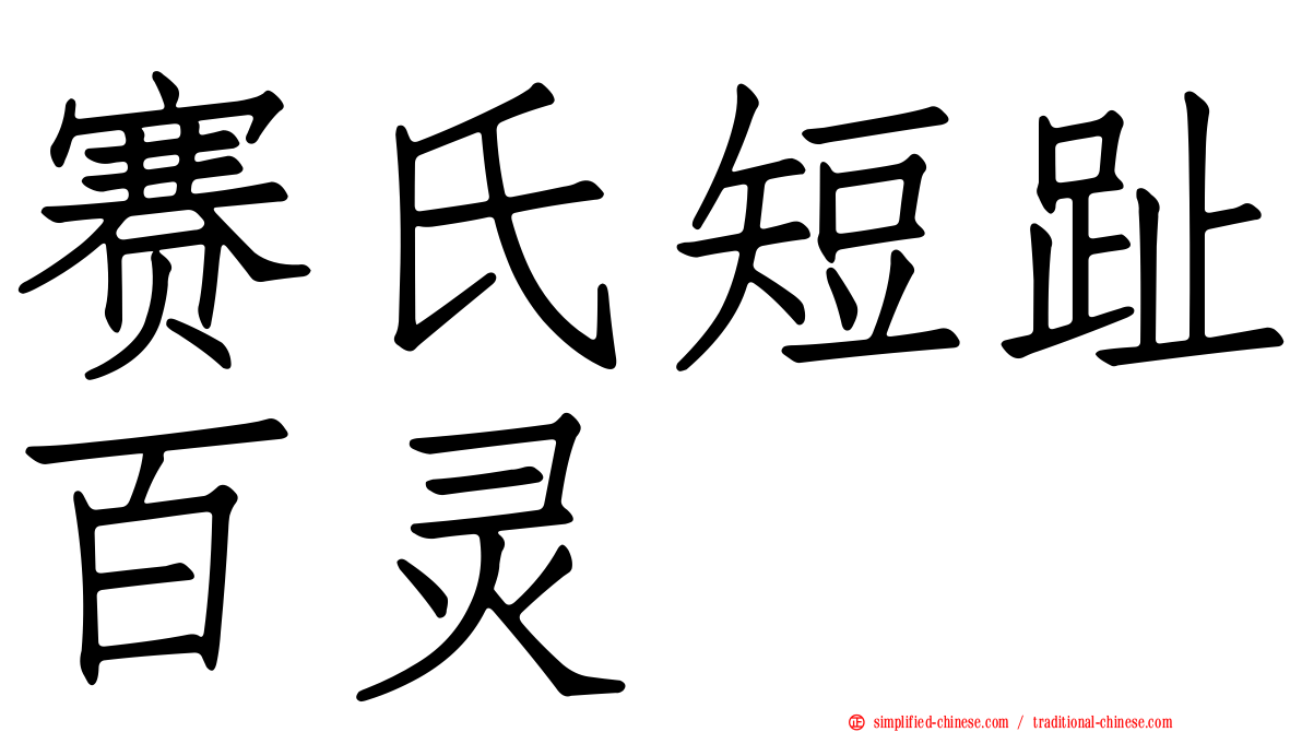 赛氏短趾百灵