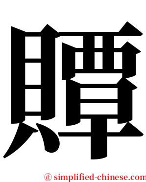 贉 serif font