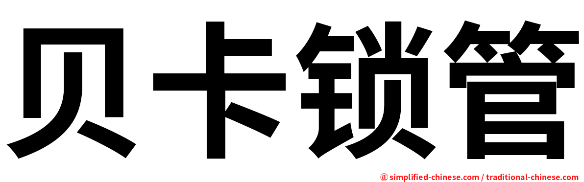 贝卡锁管