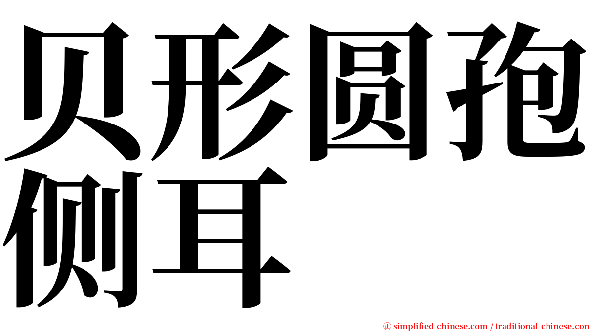 贝形圆孢侧耳 serif font
