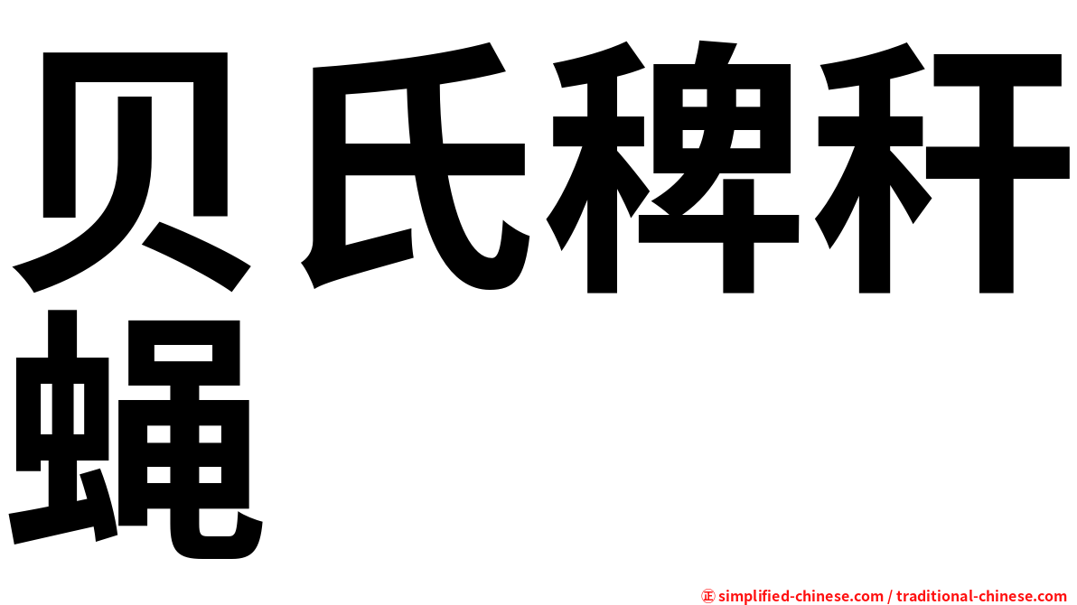 贝氏稗秆蝇