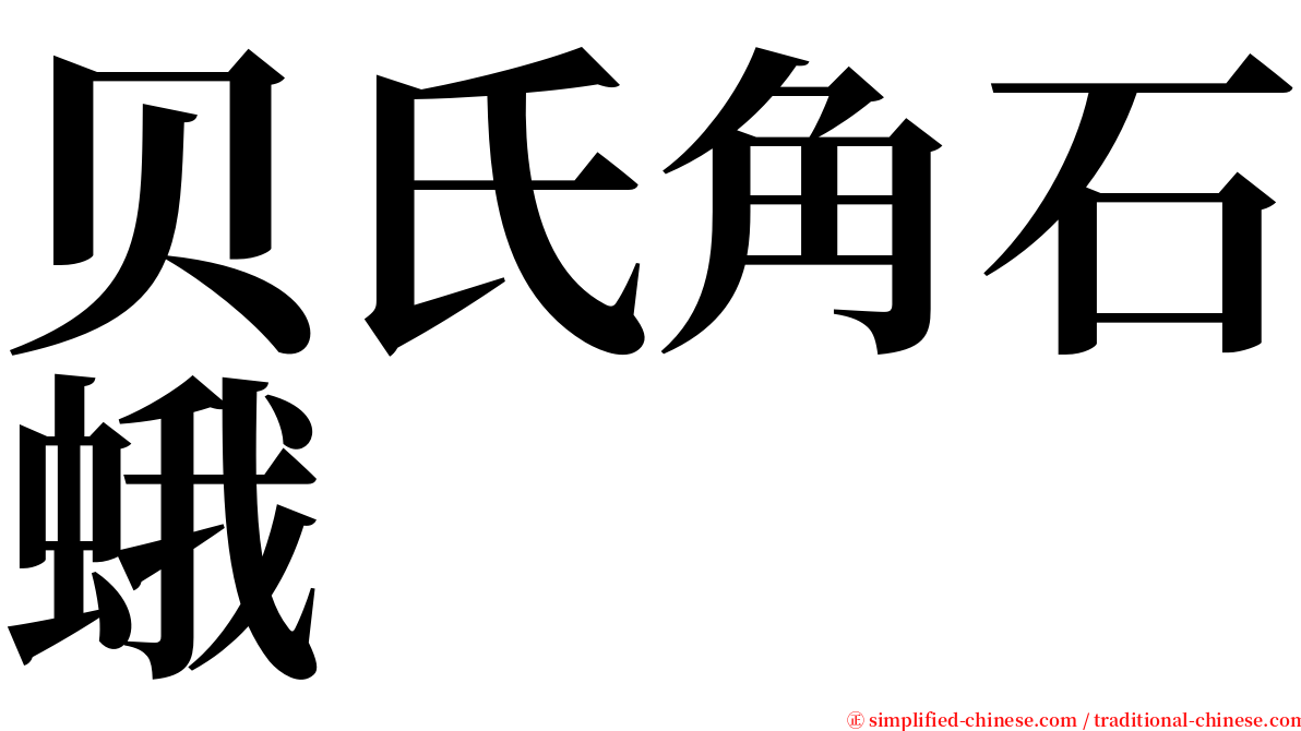 贝氏角石蛾 serif font