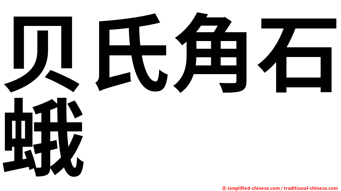 贝氏角石蛾