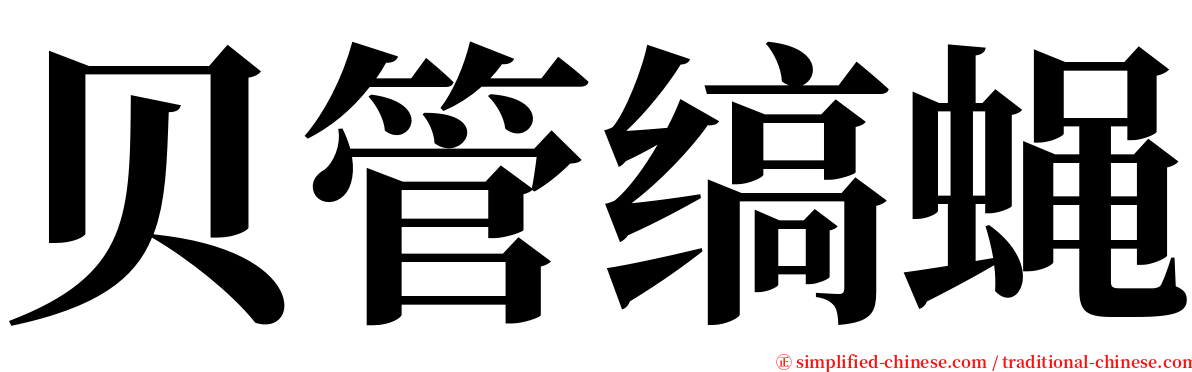 贝管缟蝇 serif font