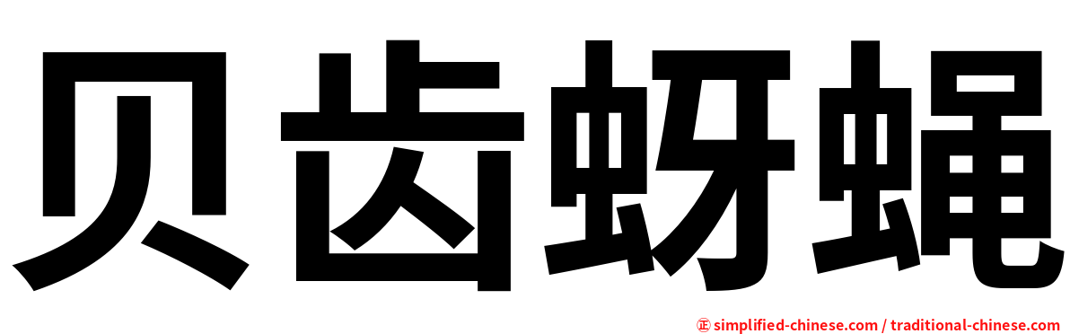 贝齿蚜蝇