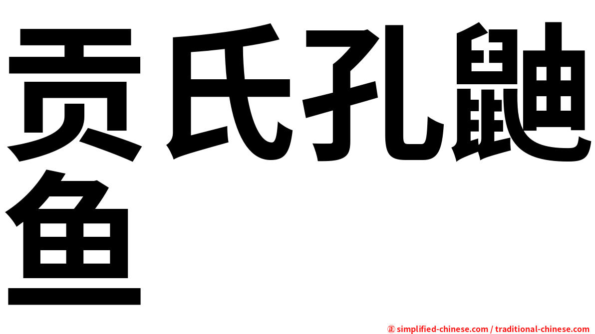 贡氏孔鼬鱼