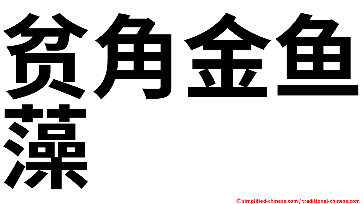 贫角金鱼藻