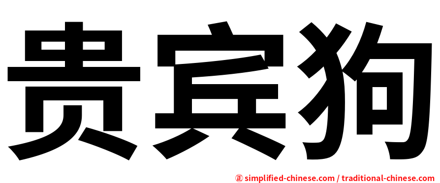 贵宾狗