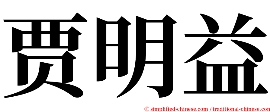 贾明益 serif font