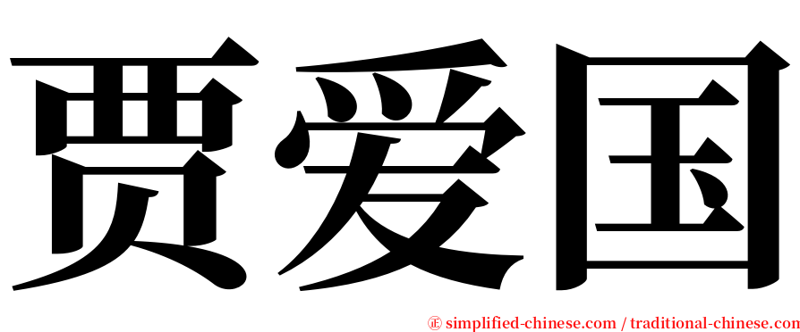 贾爱国 serif font