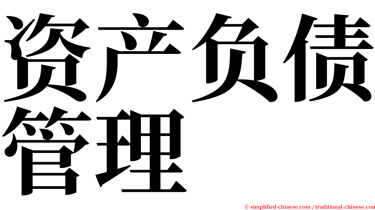 资产负债管理 serif font