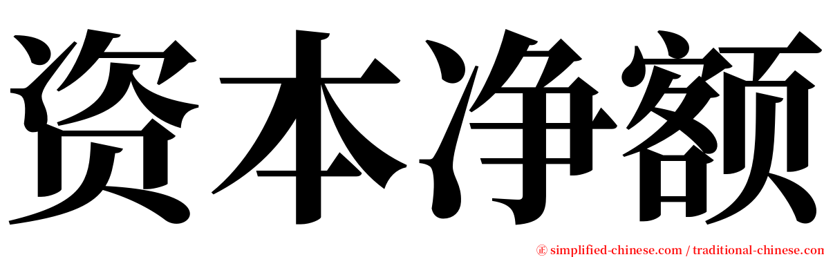资本净额 serif font