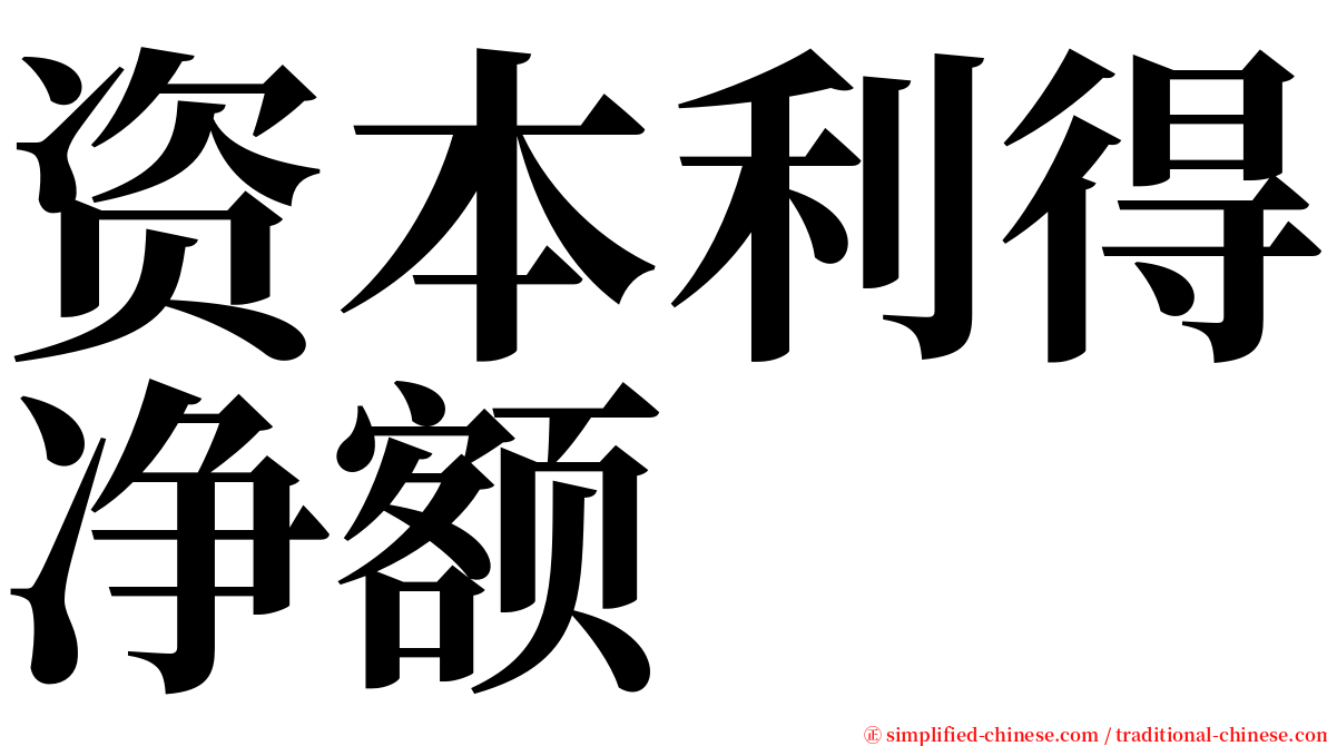 资本利得净额 serif font
