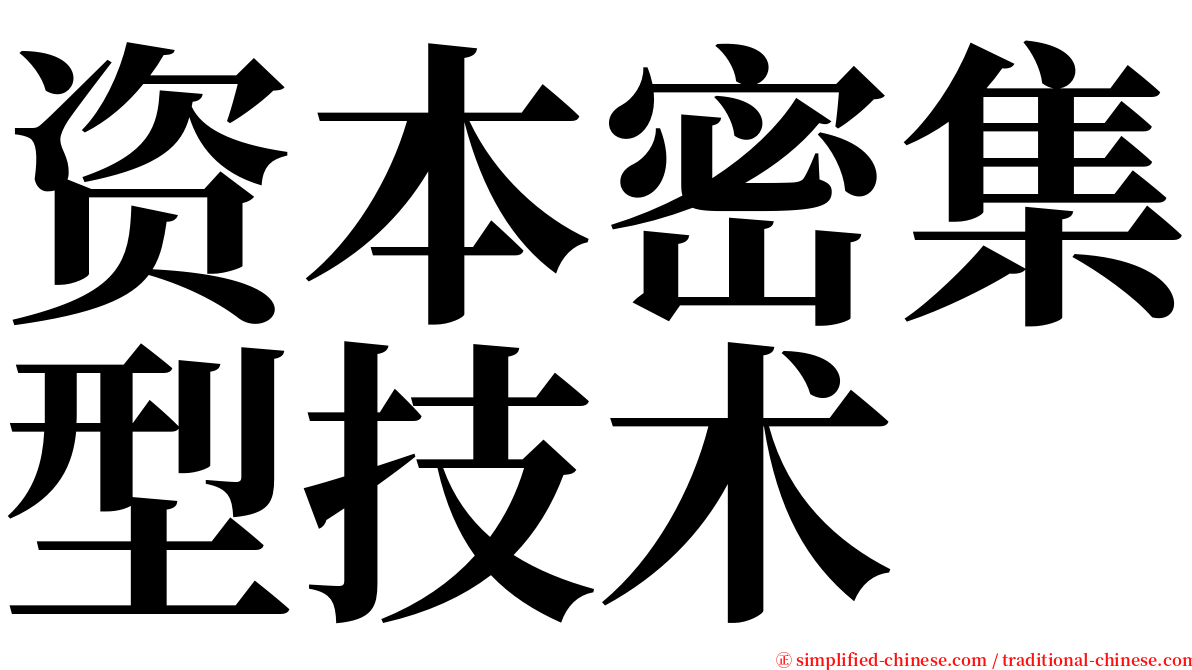 资本密集型技术 serif font