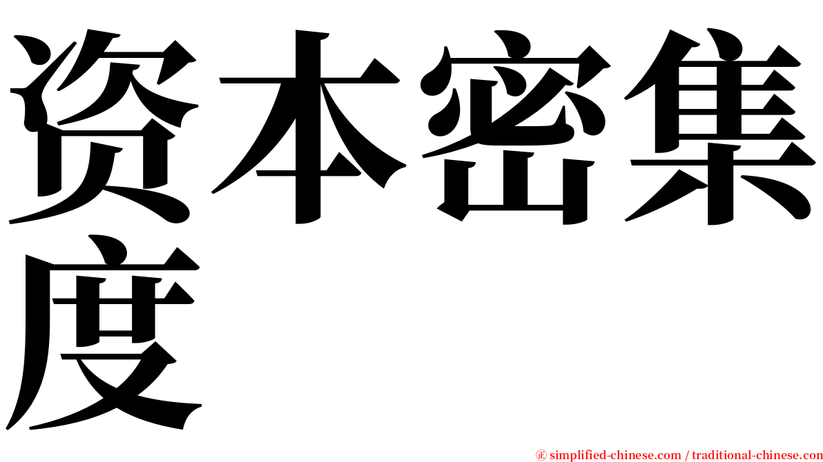 资本密集度 serif font