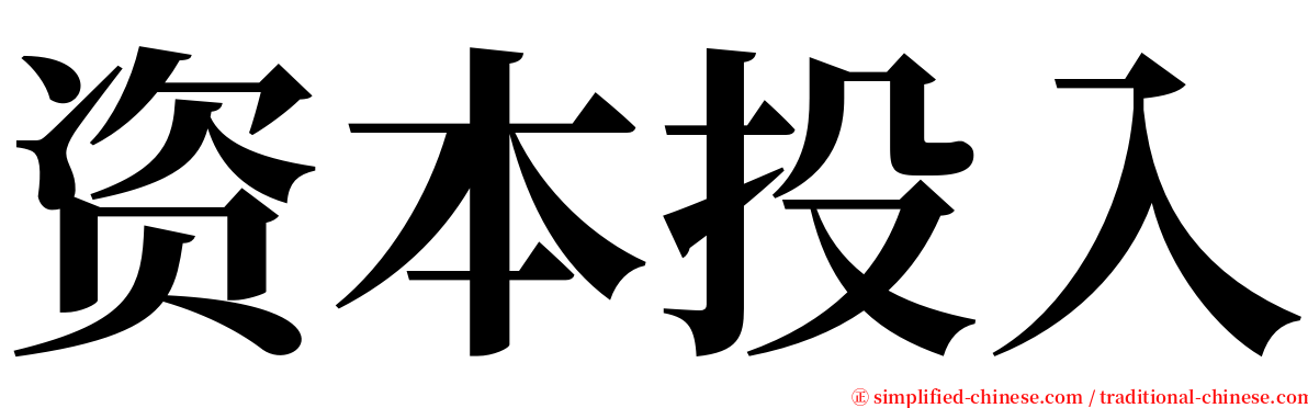 资本投入 serif font