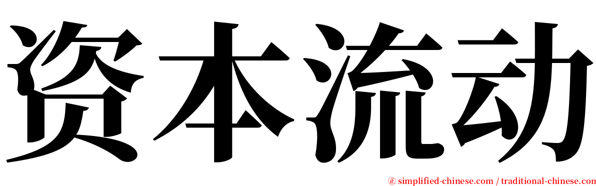 资本流动 serif font