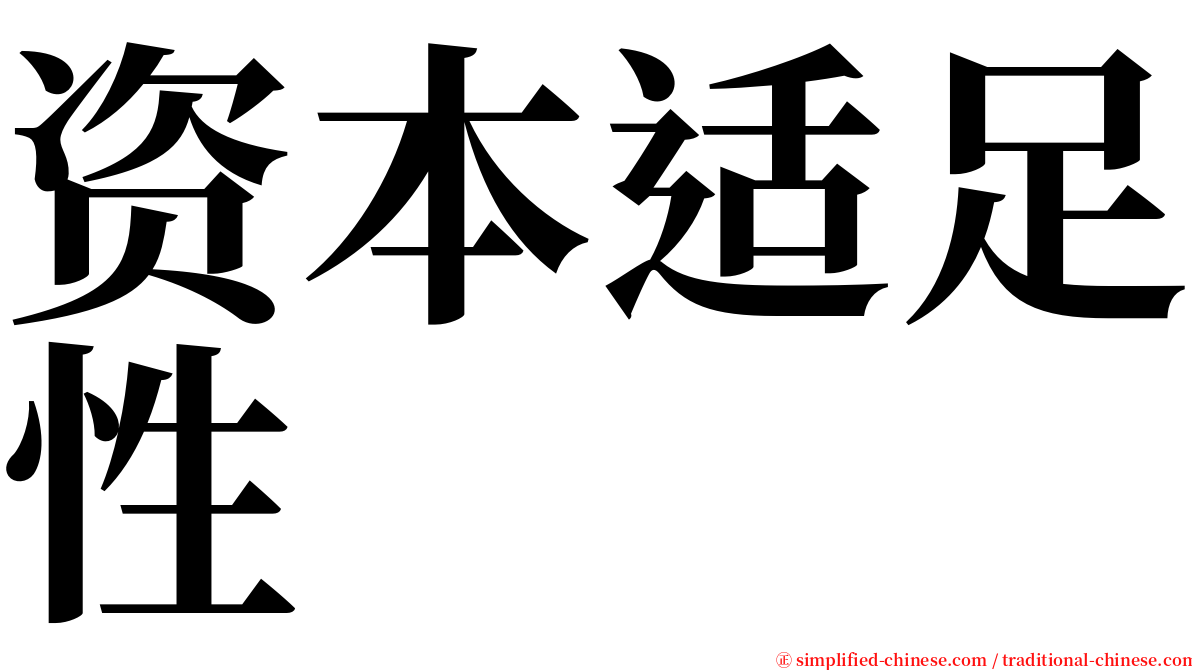 资本适足性 serif font