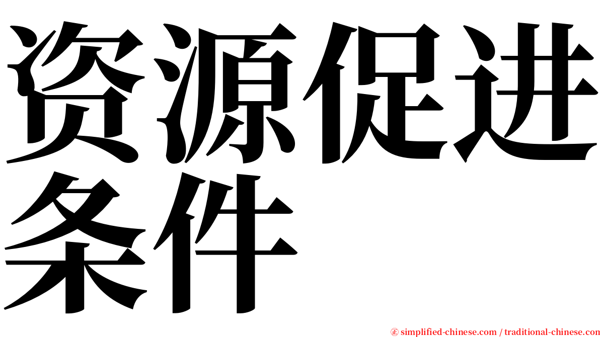 资源促进条件 serif font