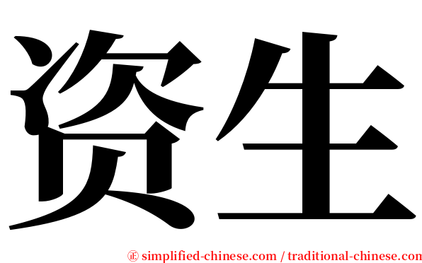 资生 serif font