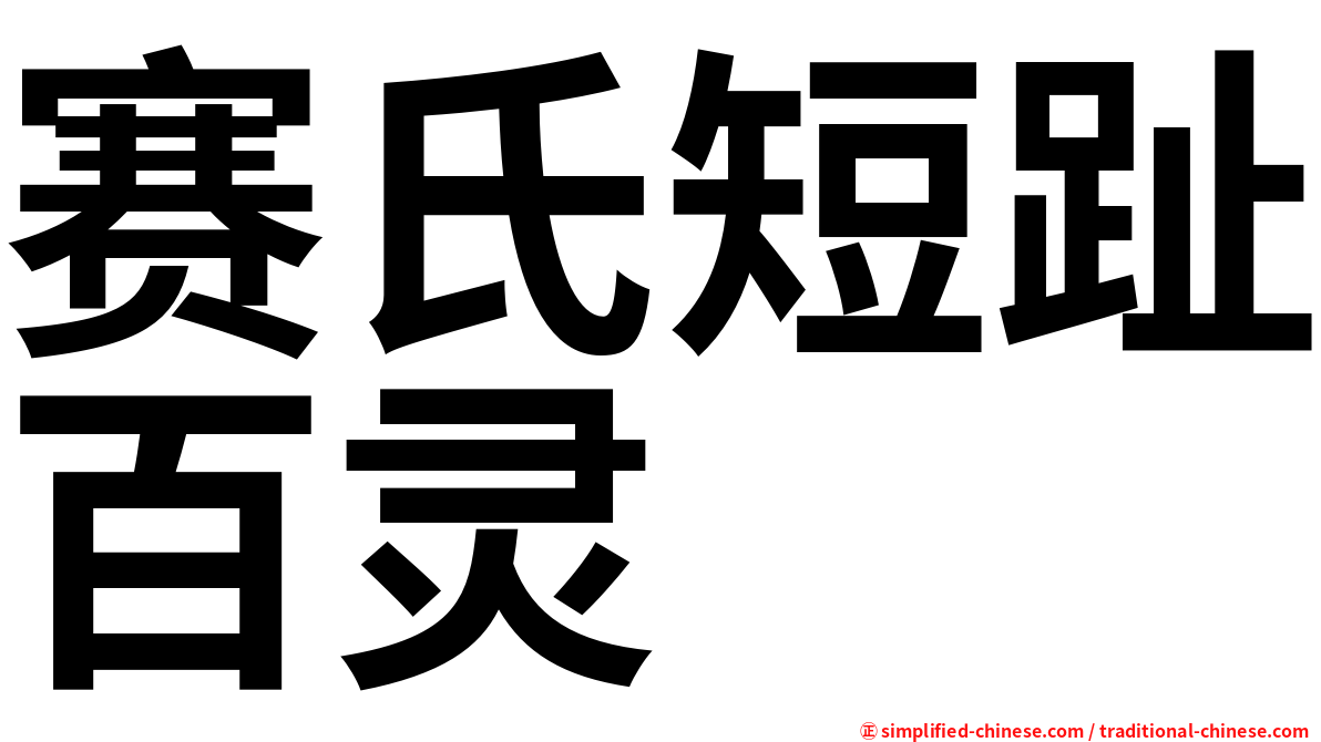 赛氏短趾百灵