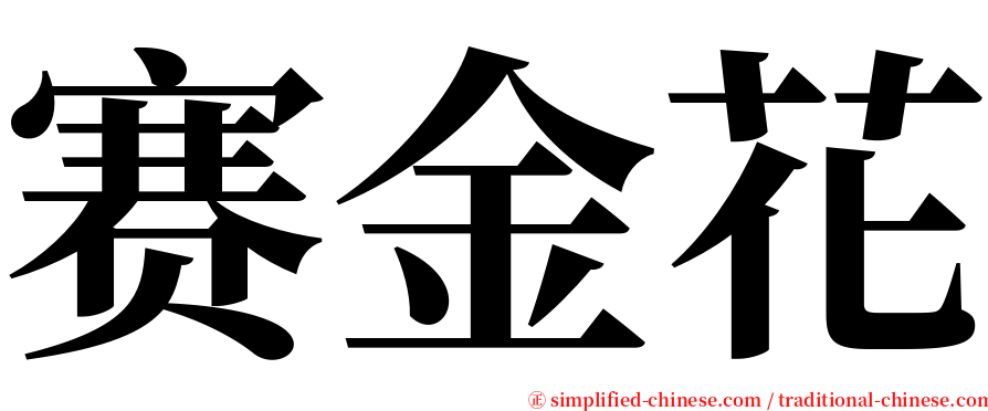 赛金花 serif font