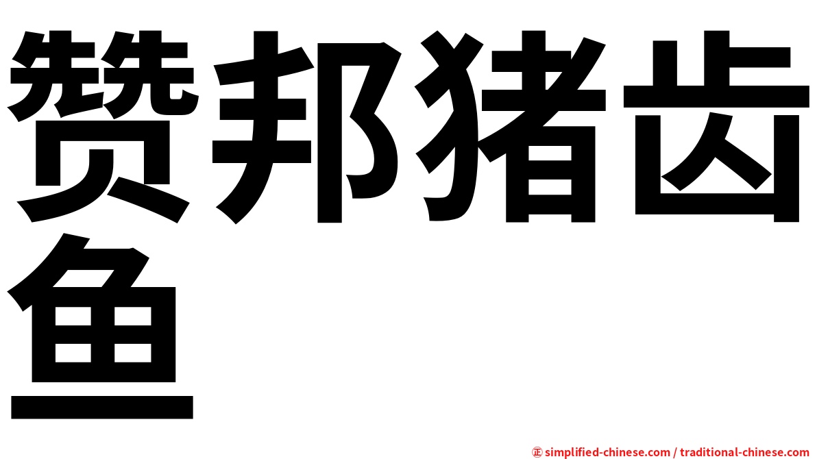 赞邦猪齿鱼