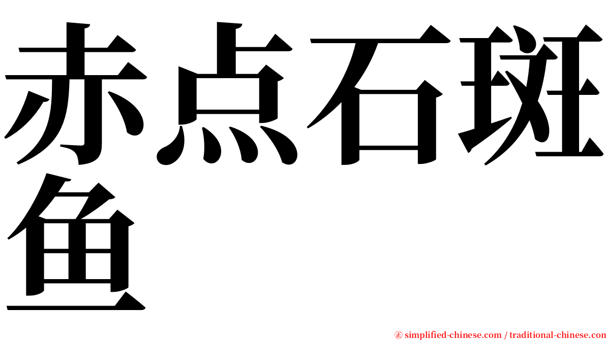 赤点石斑鱼 serif font