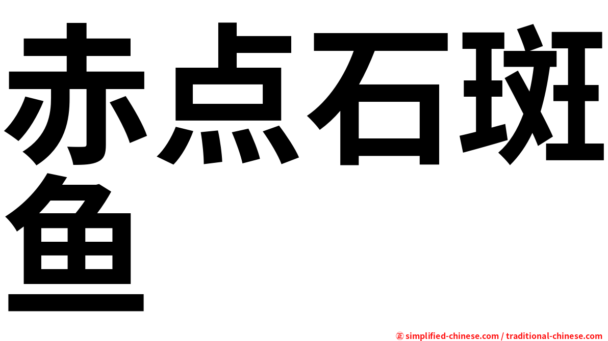 赤点石斑鱼