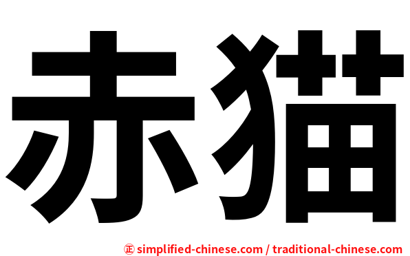 赤猫