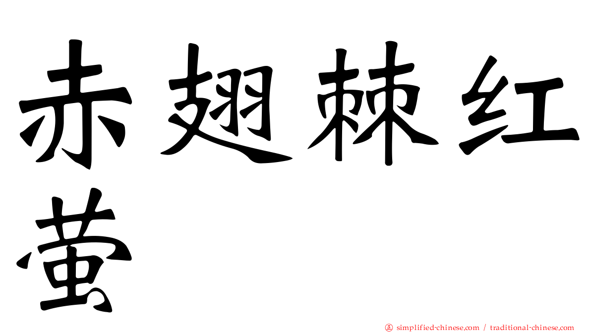 赤翅棘红萤