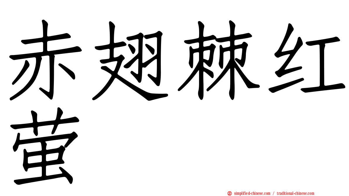 赤翅棘红萤